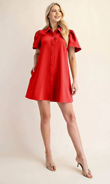 Chic Sophistication Dress