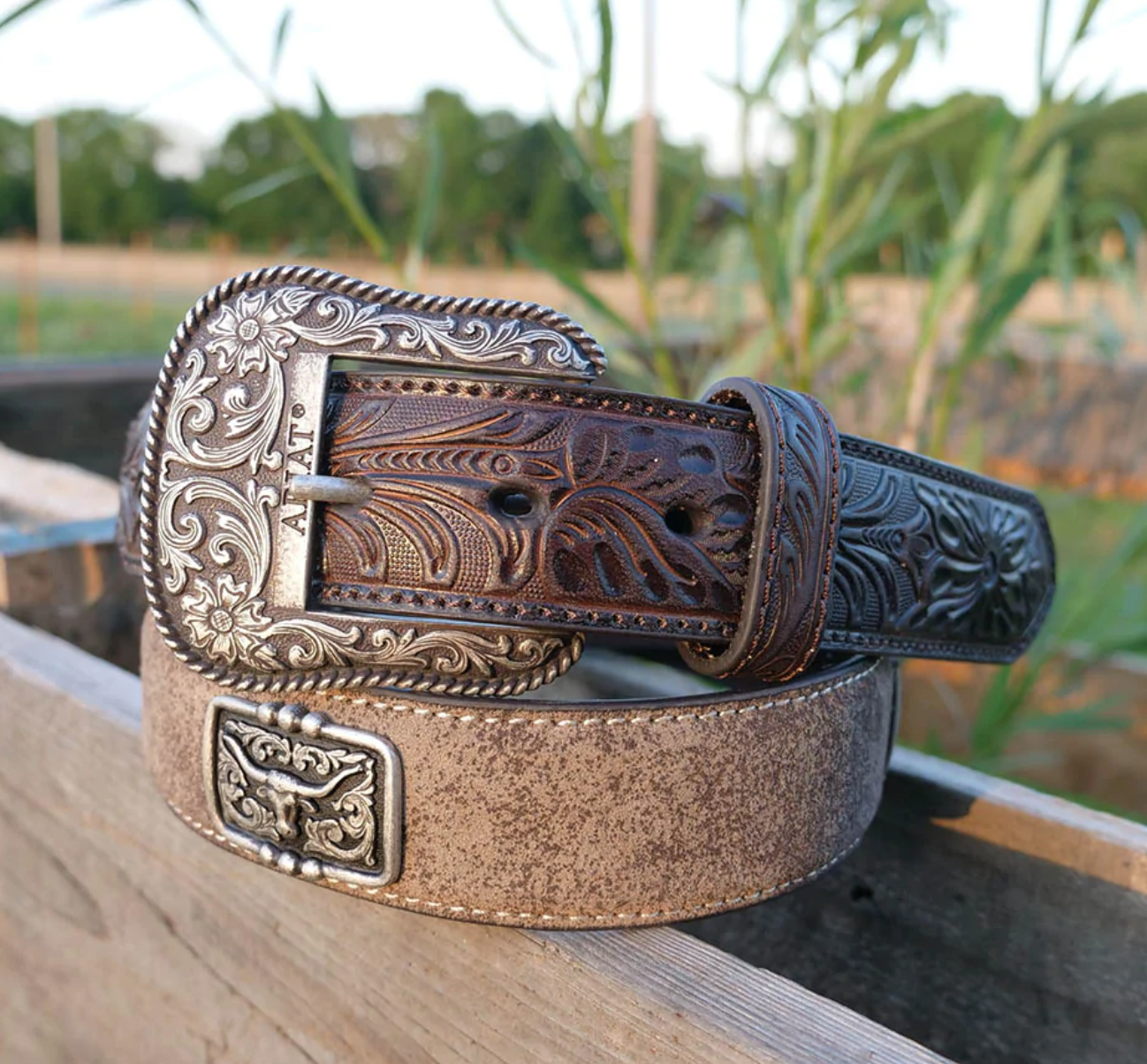 Ariat belt hotsell