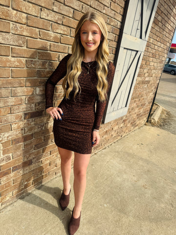 Elegant Leopard Print Mesh Dress