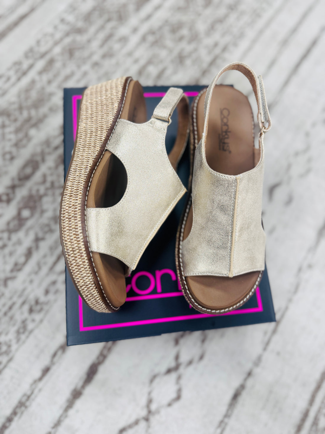 Corky's | Volta II | Washed Gold