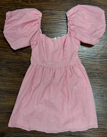 Pearl Embroidered Dress