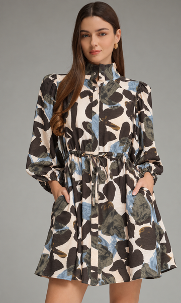 Fall Crisp Printed Dress