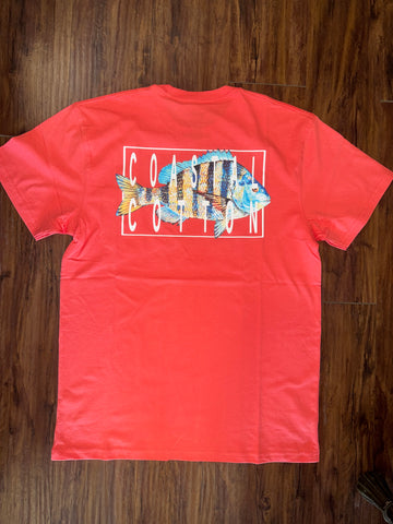 Coastal Cotton Red Sheepshead T-Shirt