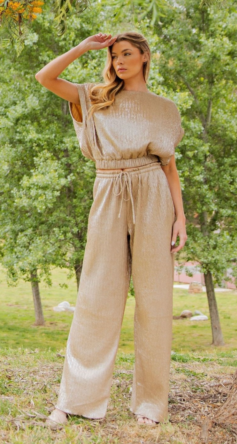 Gold Shimmering Metallic Pant Suit