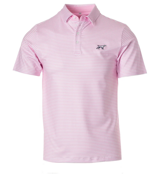 The Marshall Polo