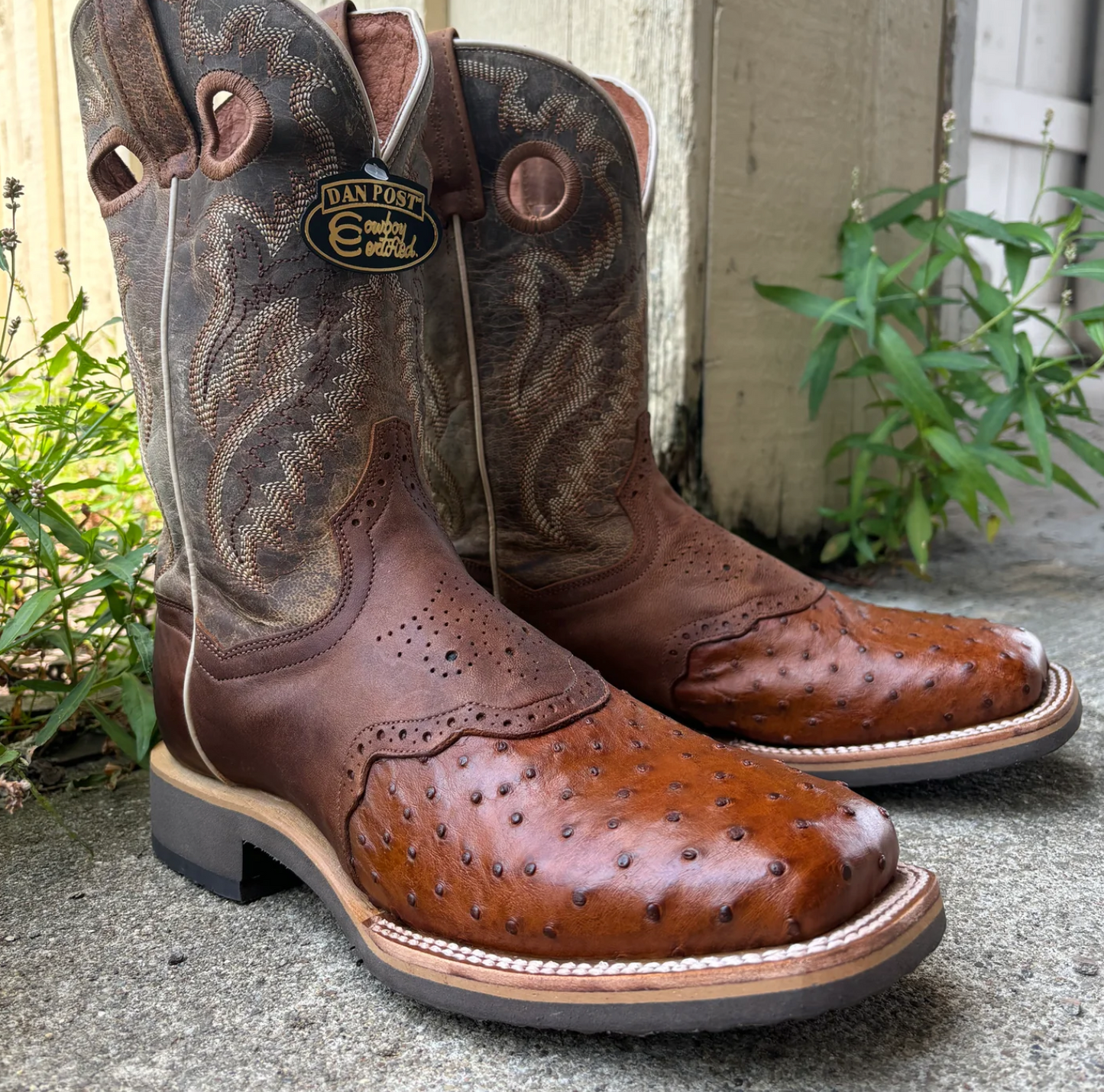 Dan Post Men's Martel Bay Apache & Tan Ostrich Cowboy Boots #DP6058