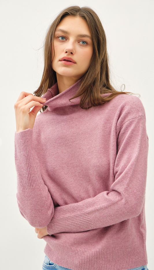 Stylish Turtleneck Sweater