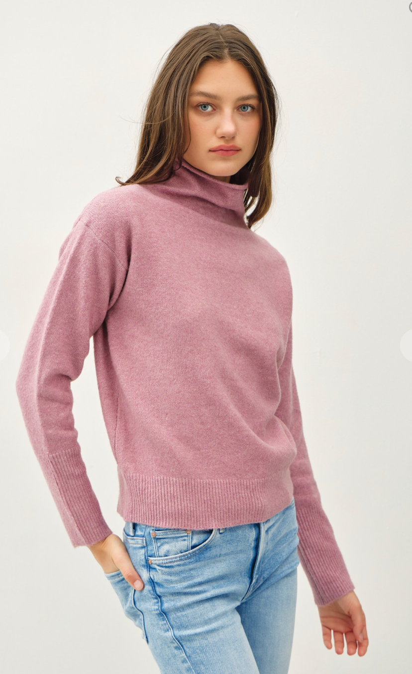 Stylish Turtleneck Sweater