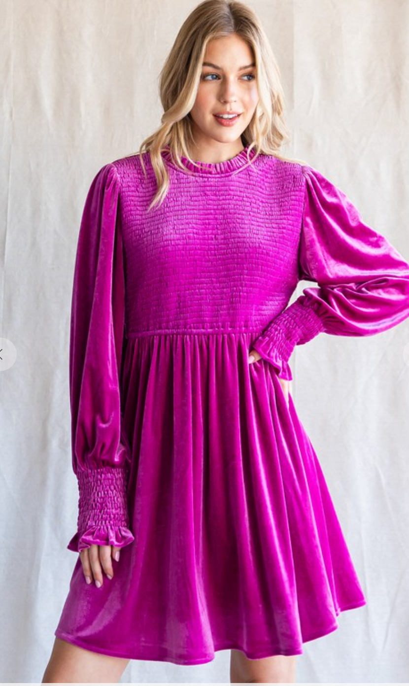 Stunning Smocked Velvet Dress