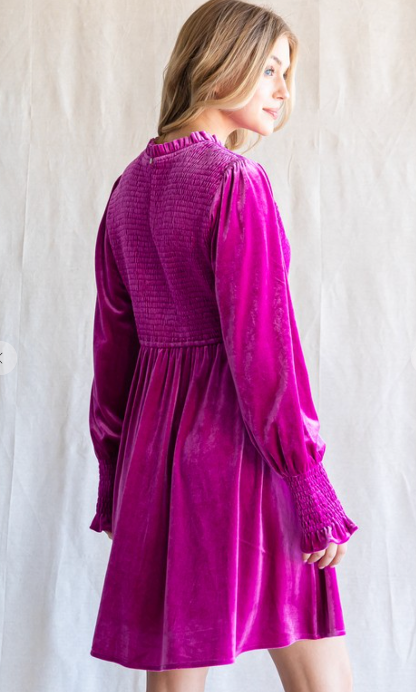 Stunning Smocked Velvet Dress