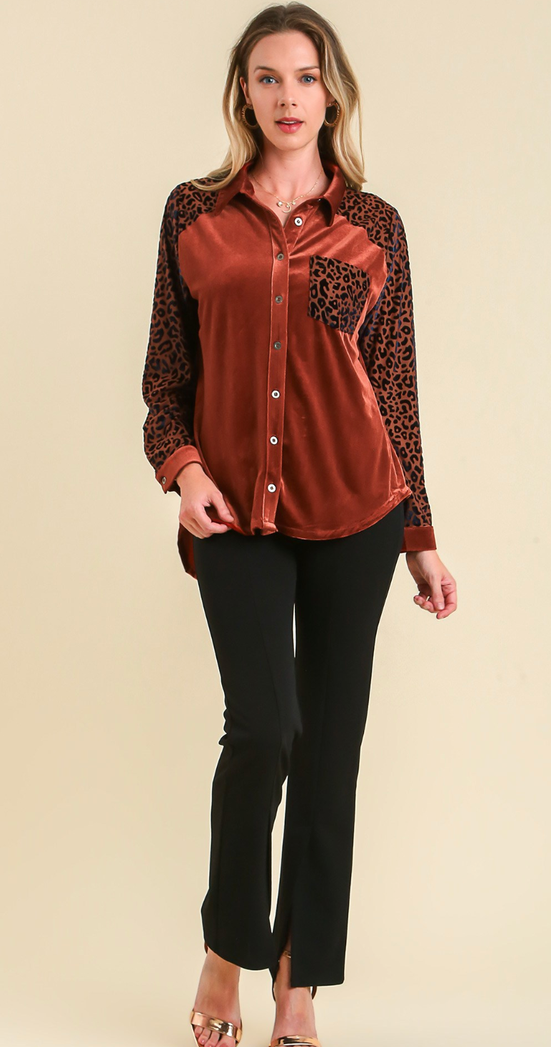 Animal Print Velvet Collared Top