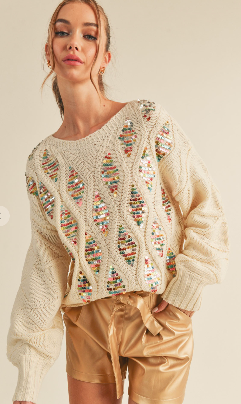 Sequin Embellished Sweater