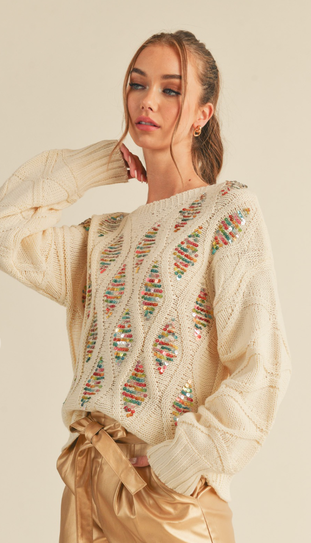 Sequin Embellished Sweater