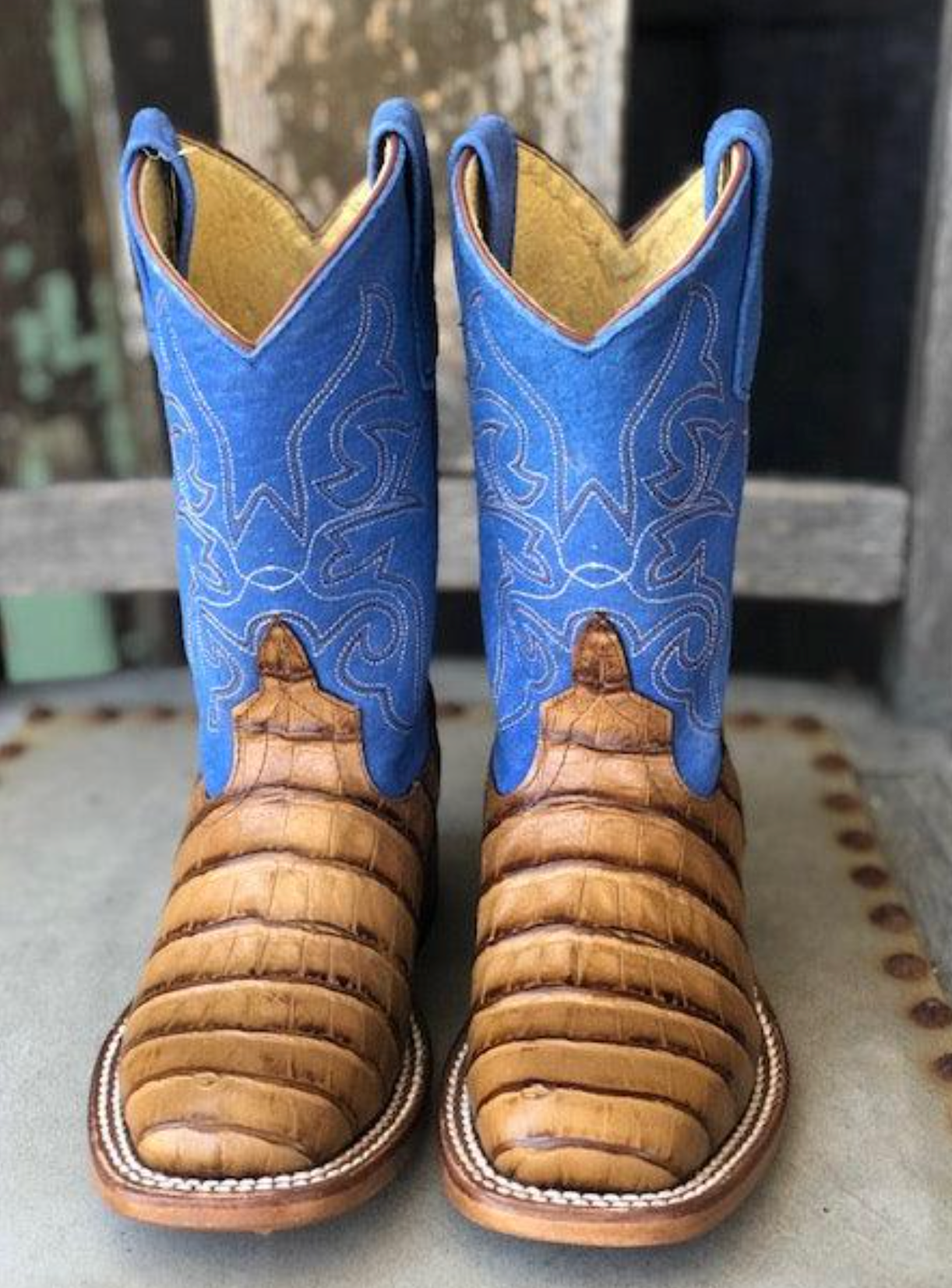 Horse Power Toasted Caiman Print & Royal Blue Square Toe Boots