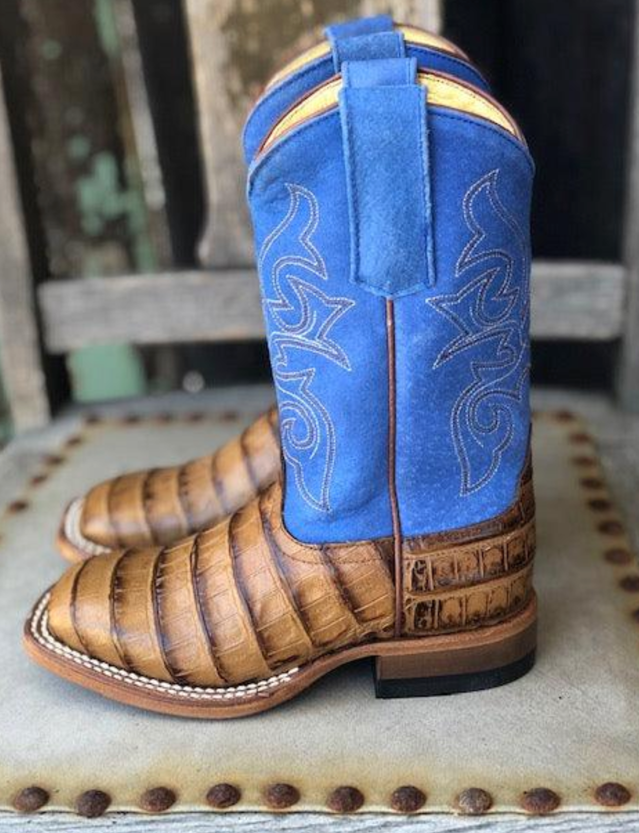 Horse Power Toasted Caiman Print & Royal Blue Square Toe Boots