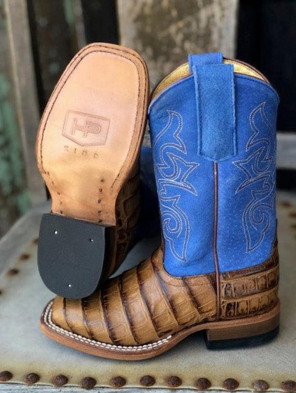 Horse Power Toasted Caiman Print & Royal Blue Square Toe Boots