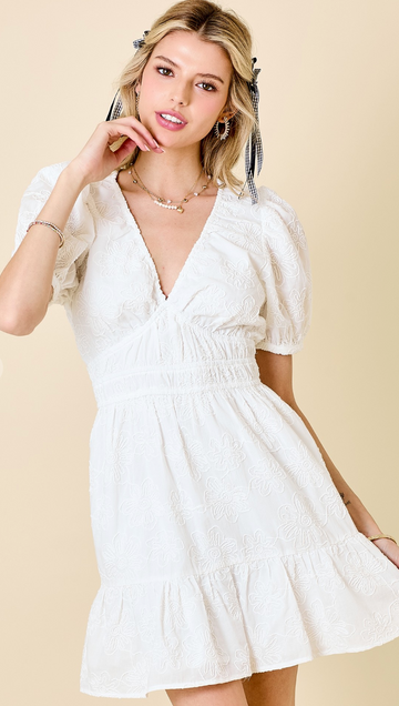 Floral Embroidered Cotton Eyelet Dress