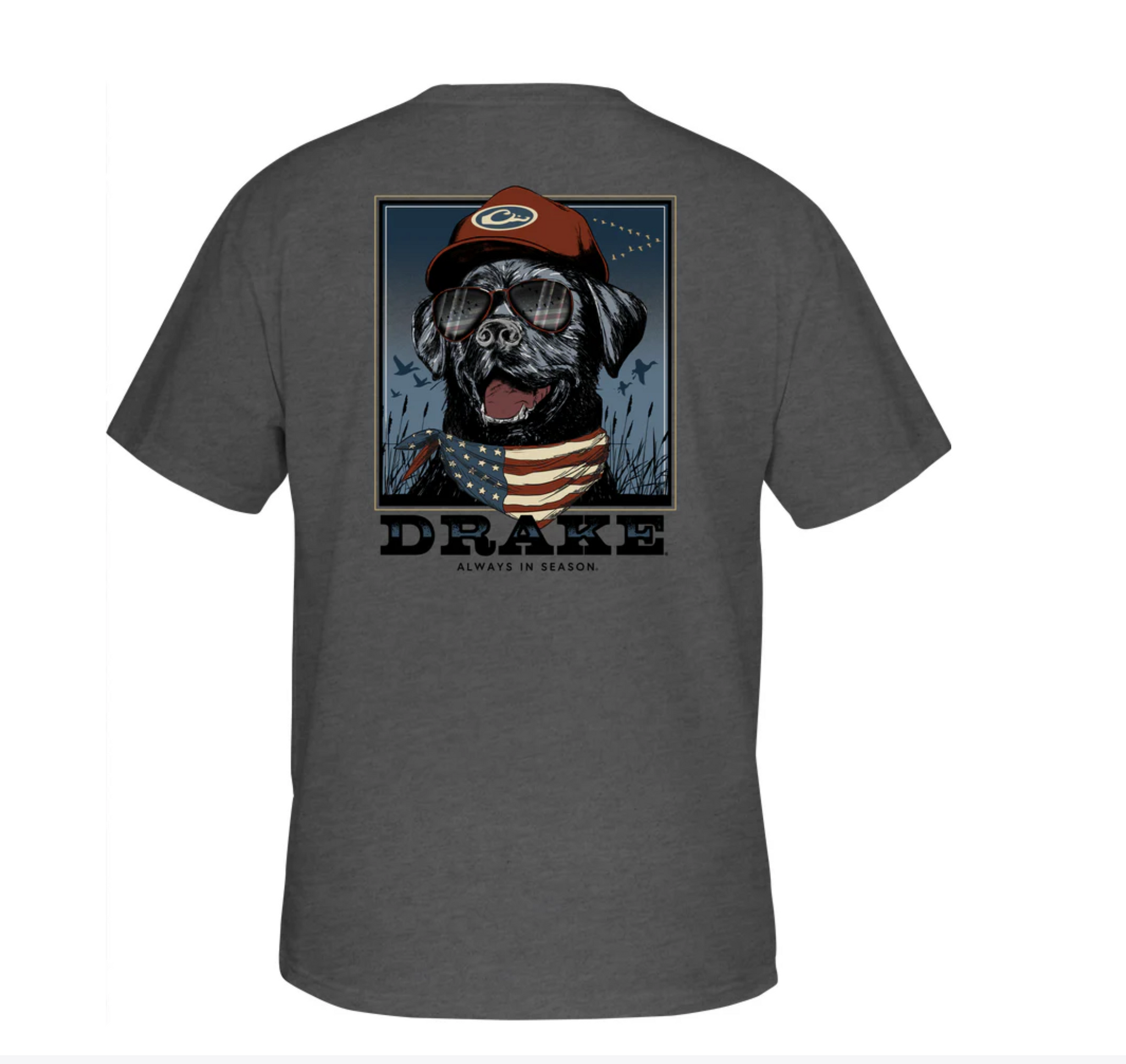 Drake Youth Americana Lab T-Shirt
