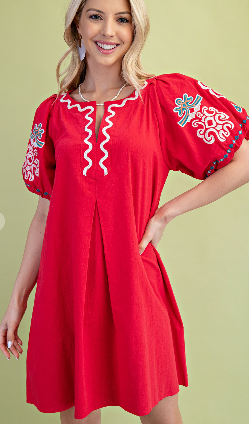Beautiful Delicately Embroidered Dress