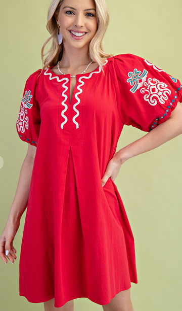 Beautiful Delicately Embroidered Dress