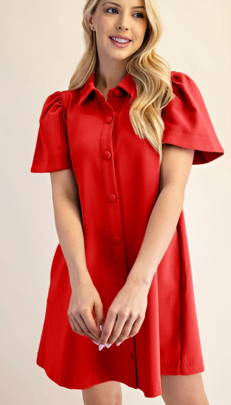 Chic Sophistication Dress