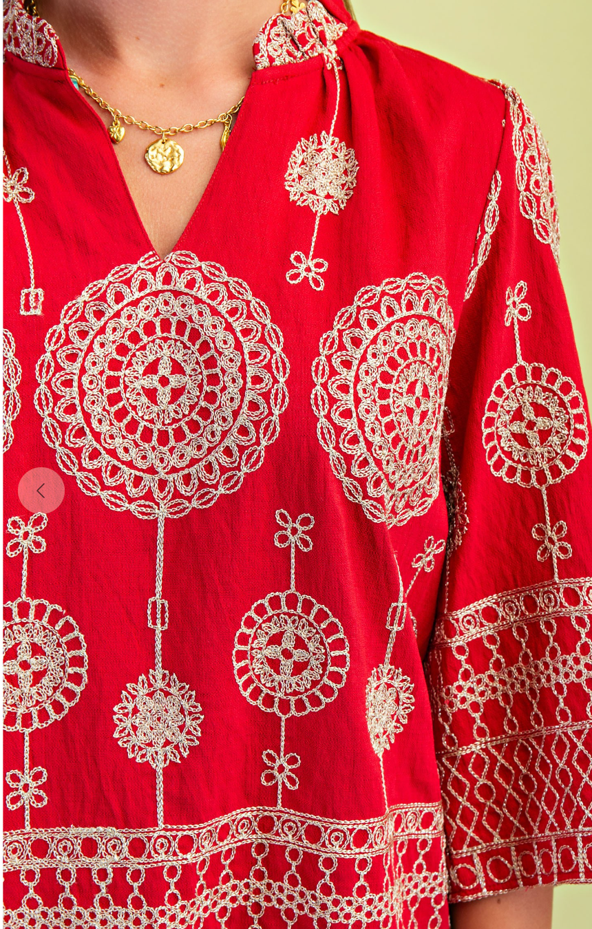 Beautiful Metallic Embroidered Blouse