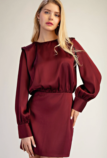 Luxurious Silk Dress