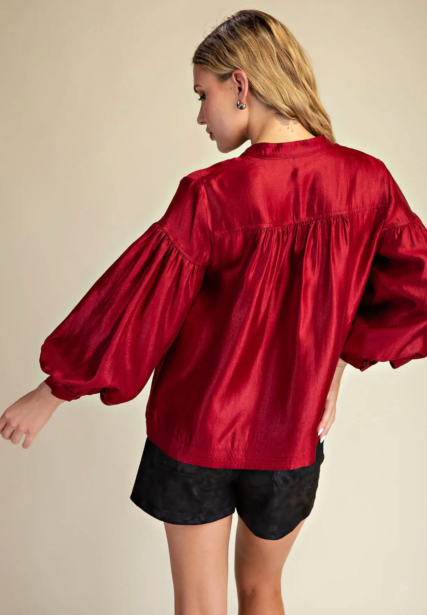 Silk and Shine Top