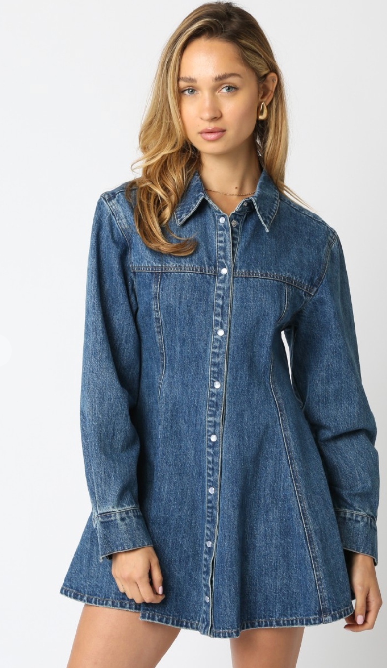Angelina Denim Button Dress