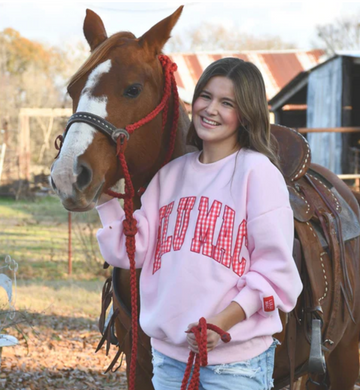 LuLu Mac Sweatshirt | Pink w/Red Gingham