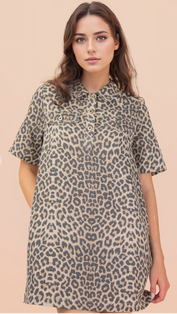 Leopard Printed Collared Dress