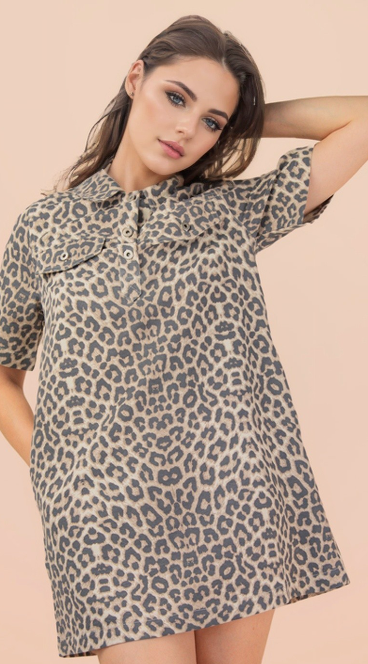 Leopard Printed Collared Dress