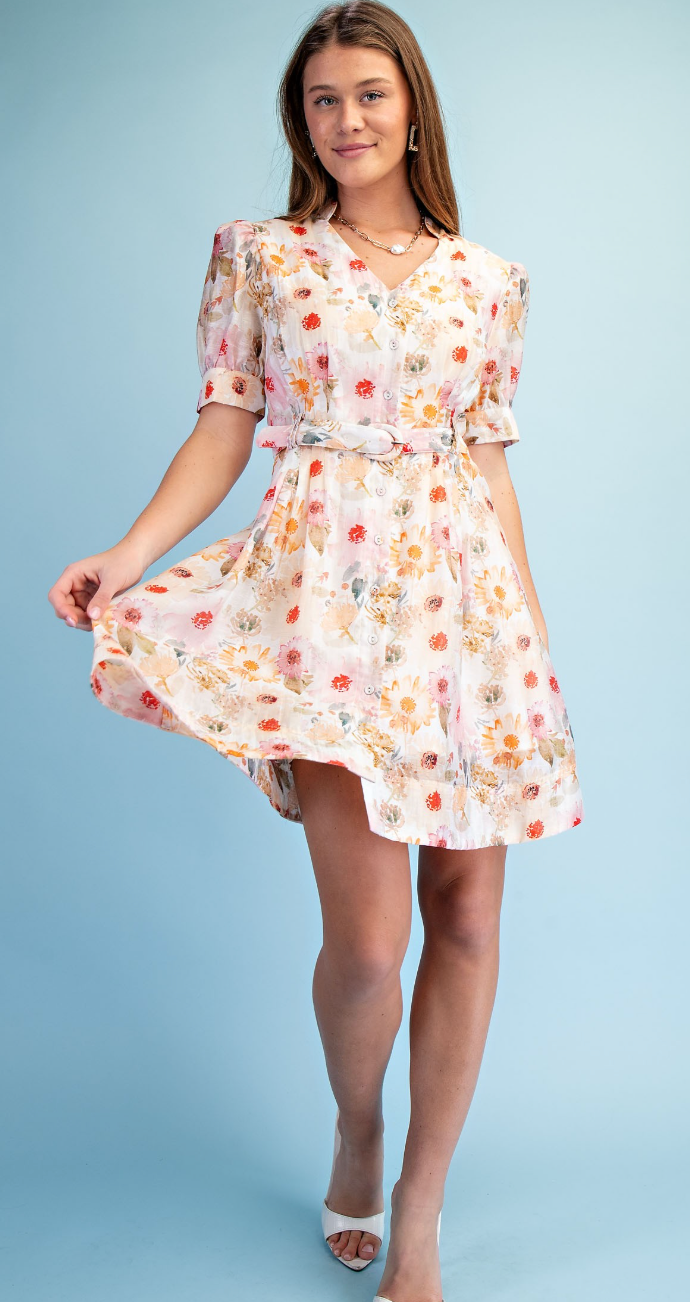 Floral Print V-neck Dress