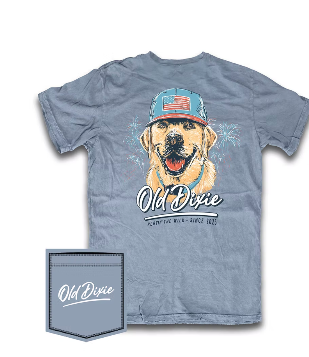Old Dixie Freedom Lab T-Shirt