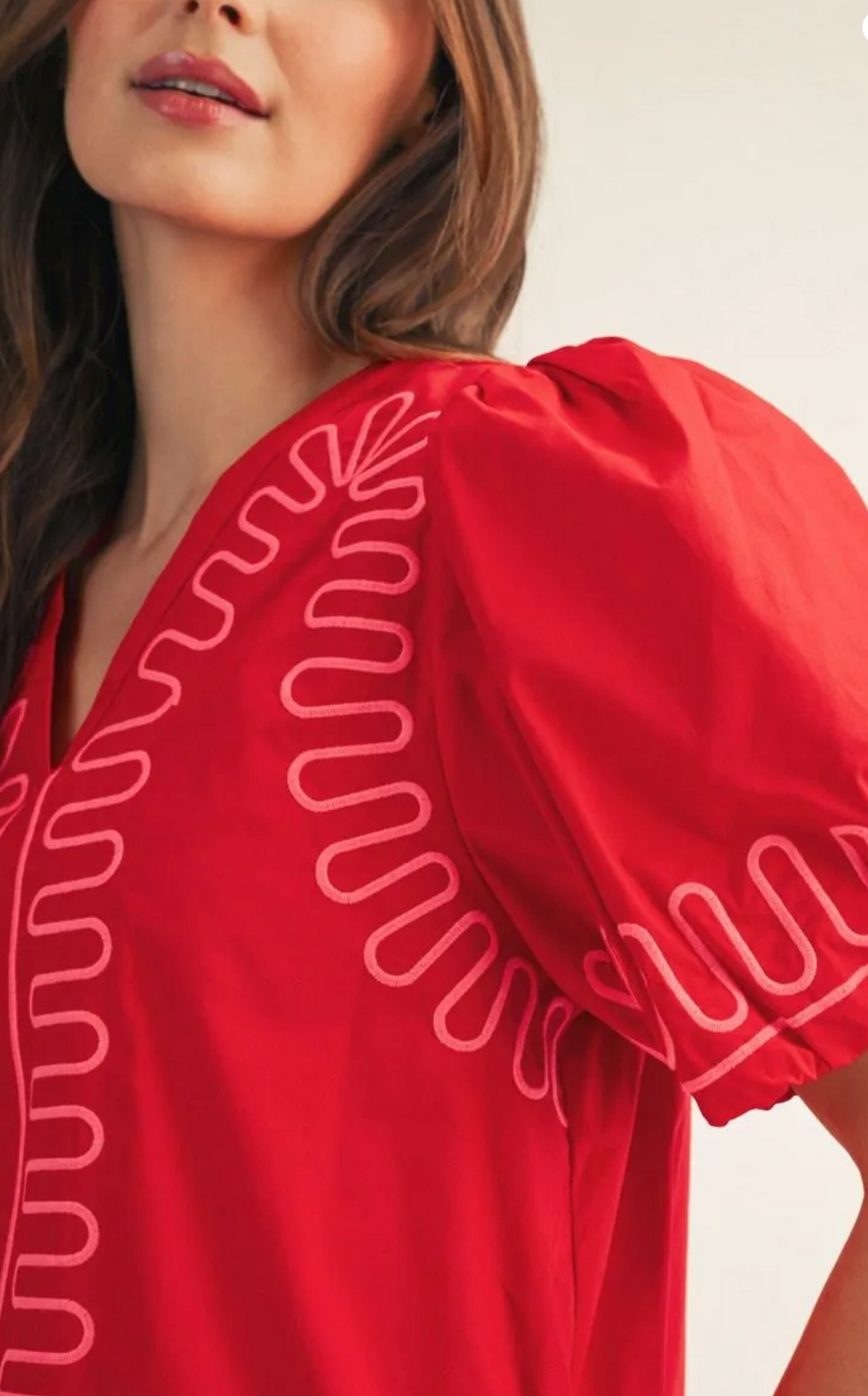 Delicate Embroidery Dress