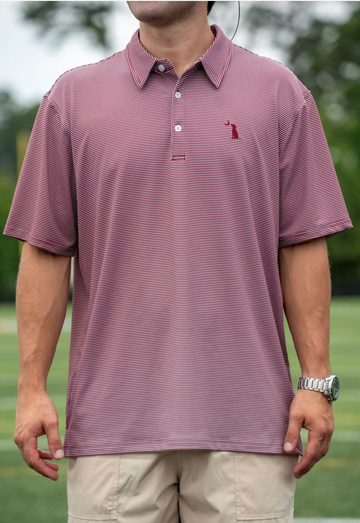 Palms Polo