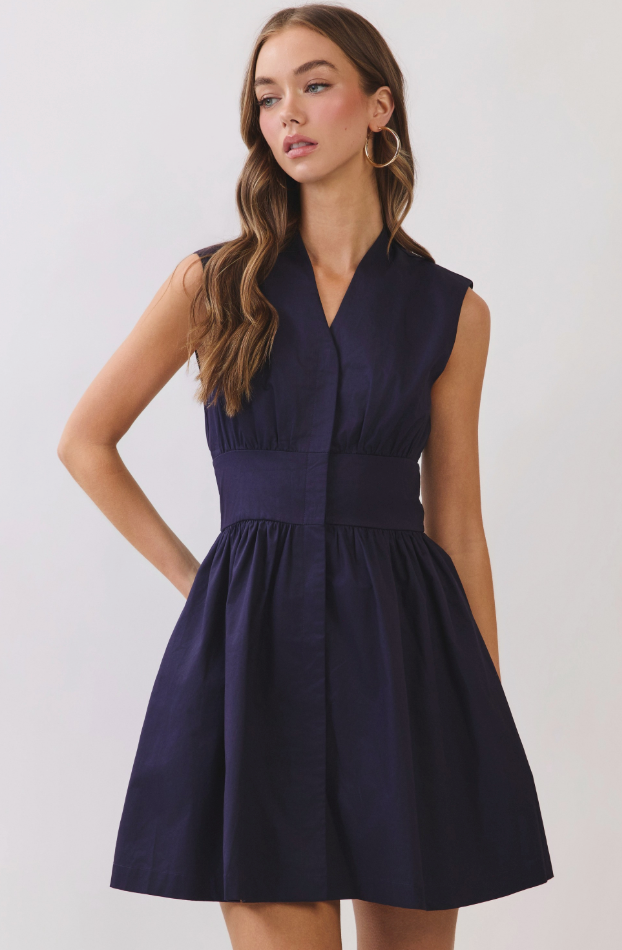 Game Day Fitted And Flare Dress