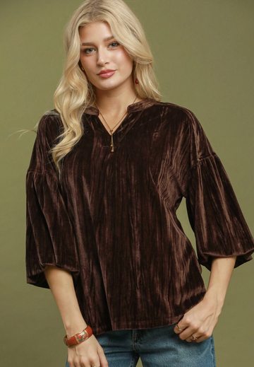 Velvet Ruffle Sleeve Top