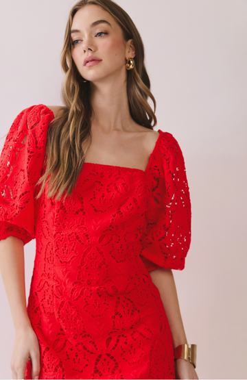 The Date Night Solid Lace Dress