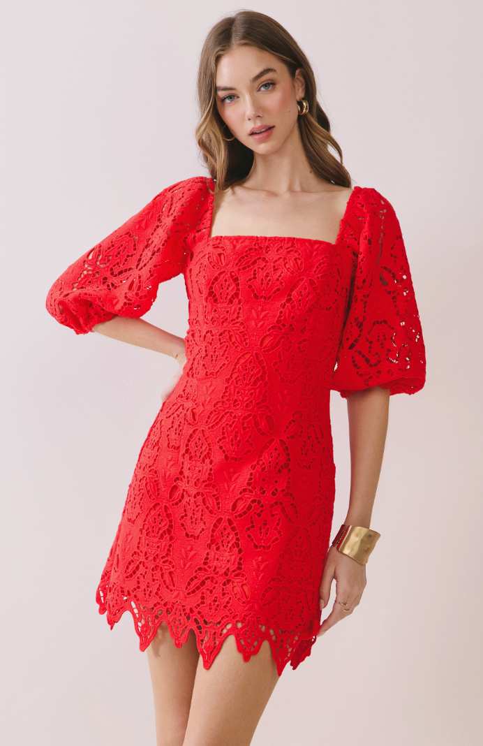 The Date Night Solid Lace Dress