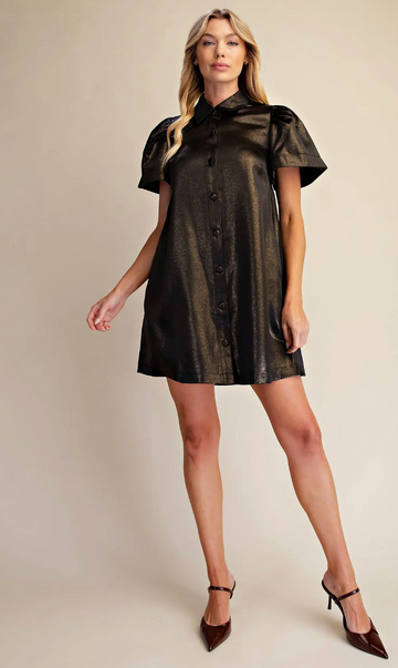 Stunning Metallic Dress