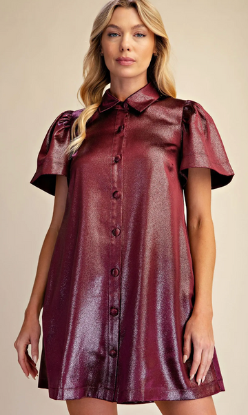 Stunning Metallic Dress