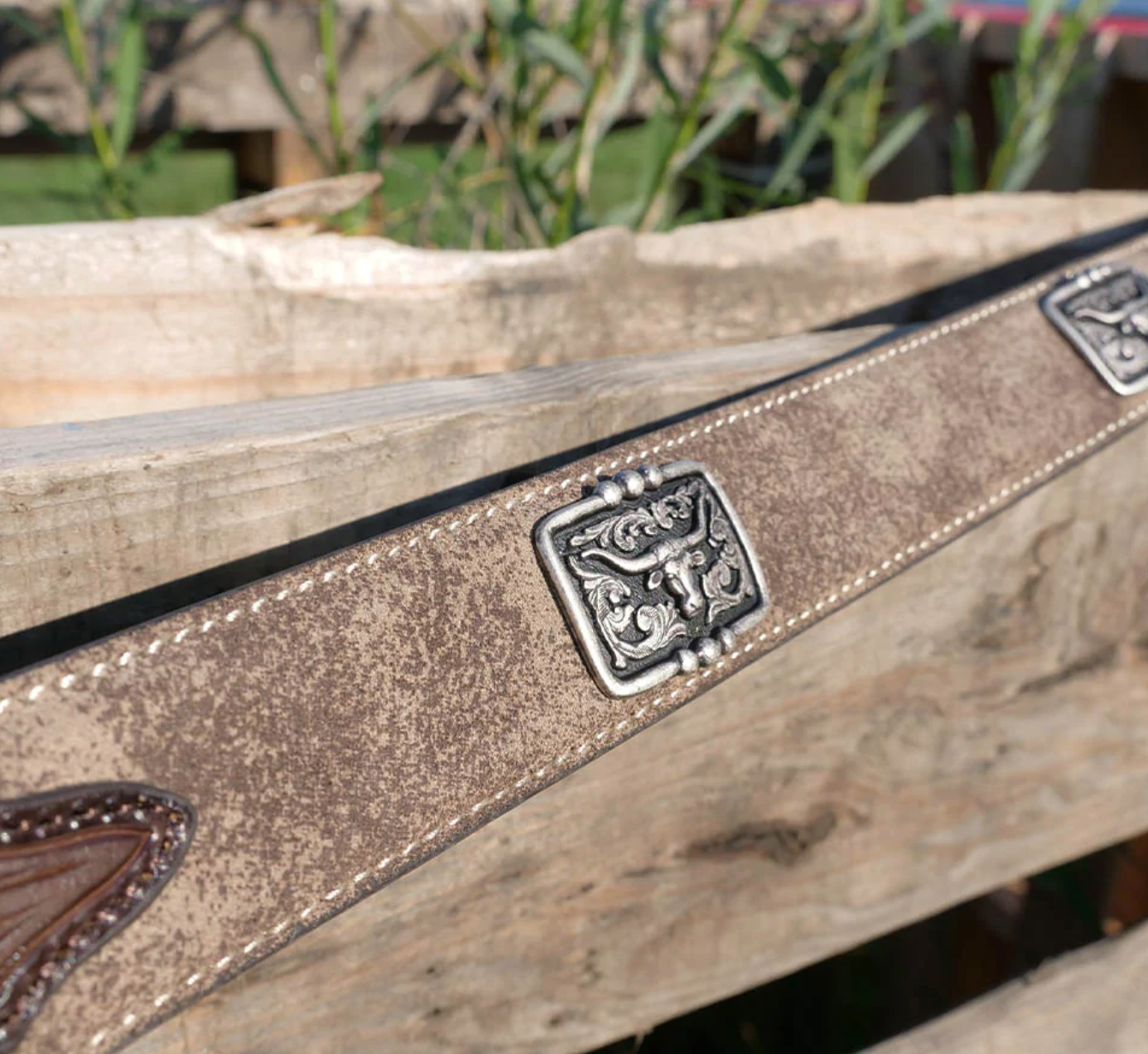 Ariat Western Belt