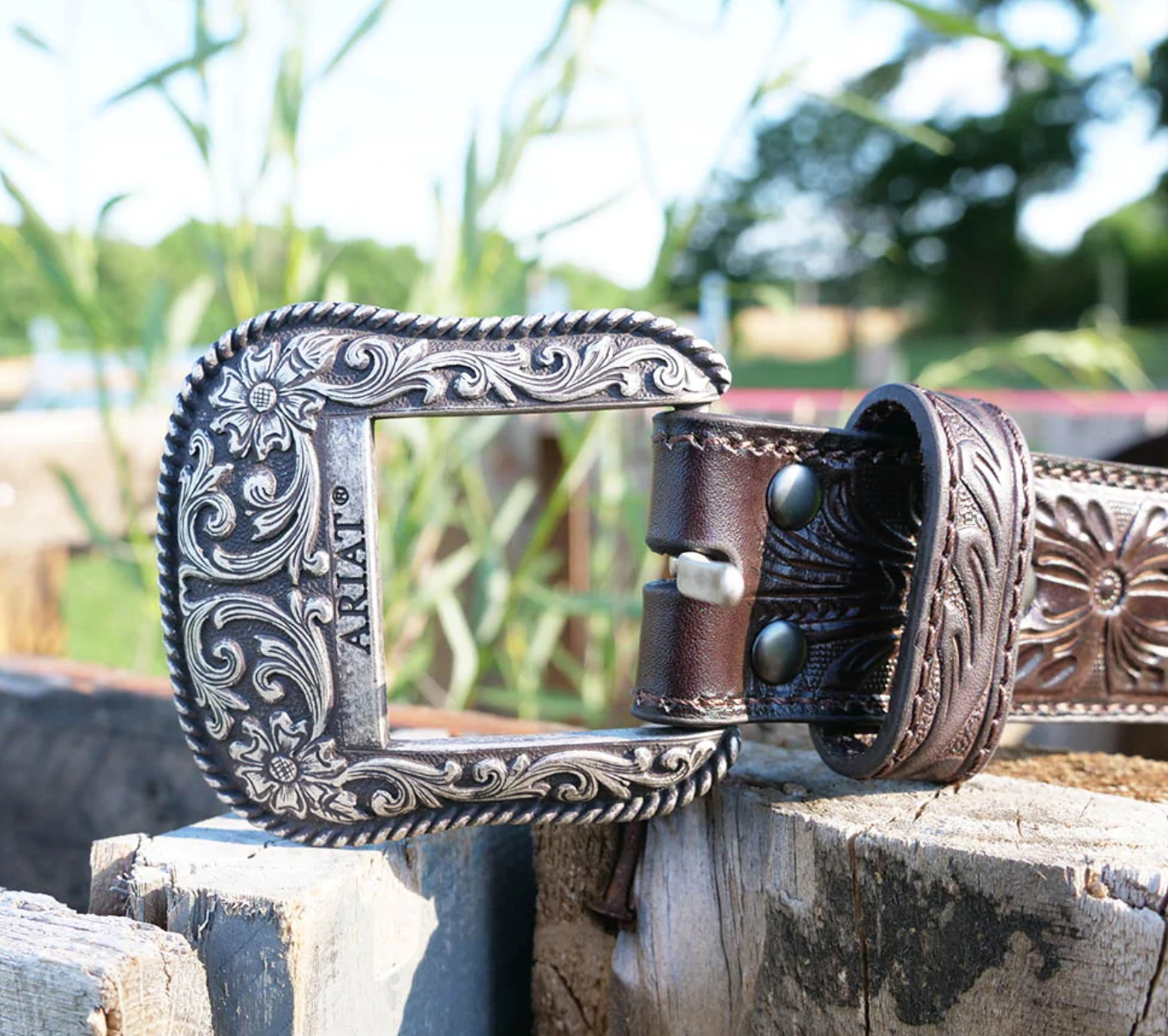 Ariat Western Belt